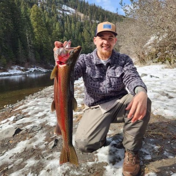 Meet your Posher, Jeremy - Picture 1 of 1